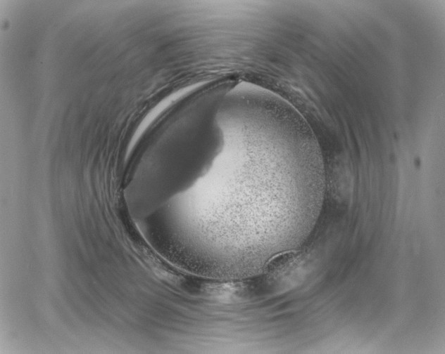 X0000068290131200604241308