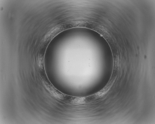 X0000068290138200604241308