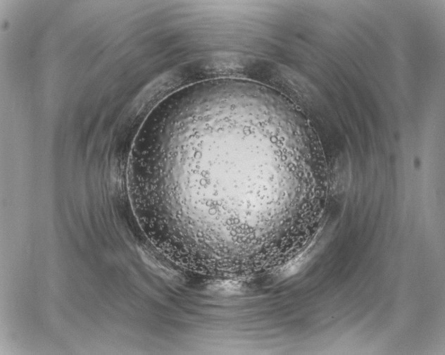 X0000068290140200604241308