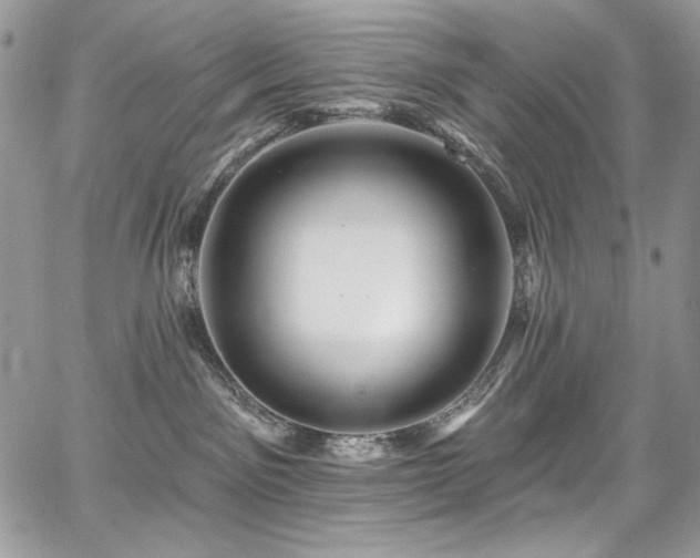 X0000068290141200604241308