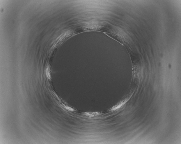 X0000068290143200604241308