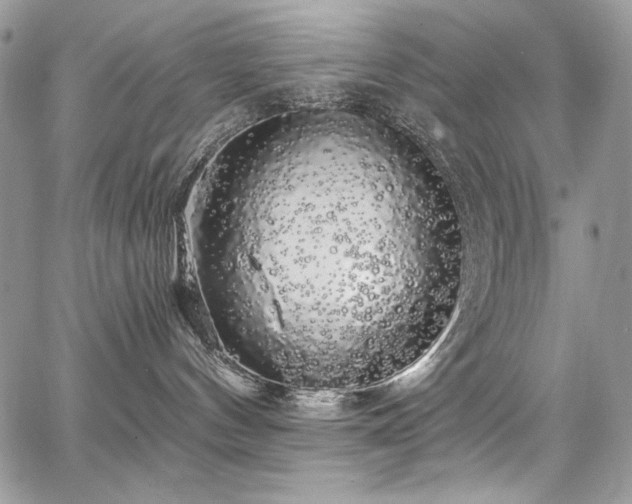 X0000068290144200604241308