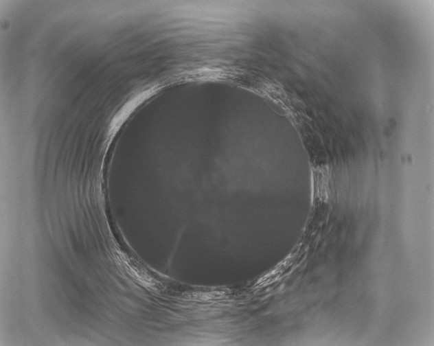 X0000068290147200604241307
