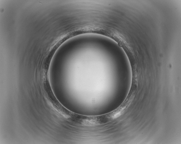 X0000068290164200604241308