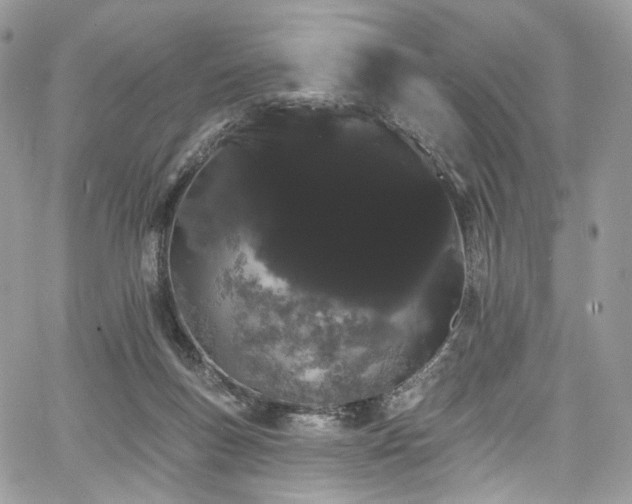 X0000068290167200604241308