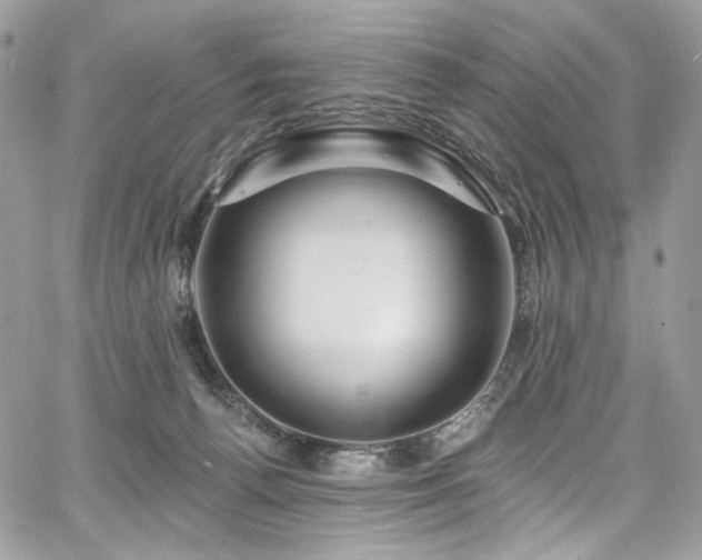 X0000068290176200604241308