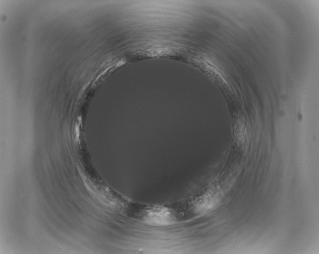 X0000068290214200604241307
