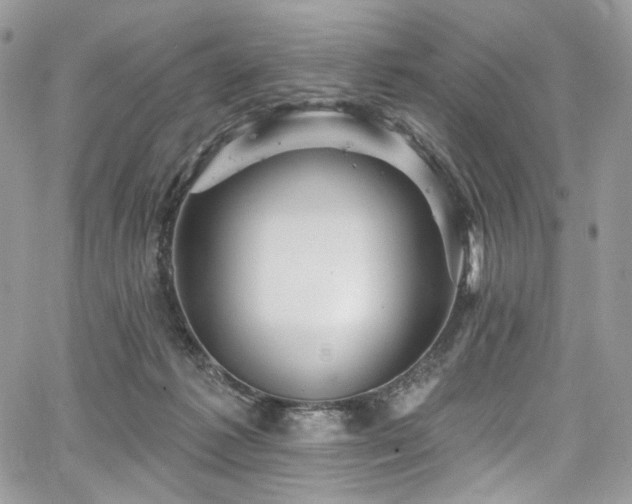 X0000068290221200604241307