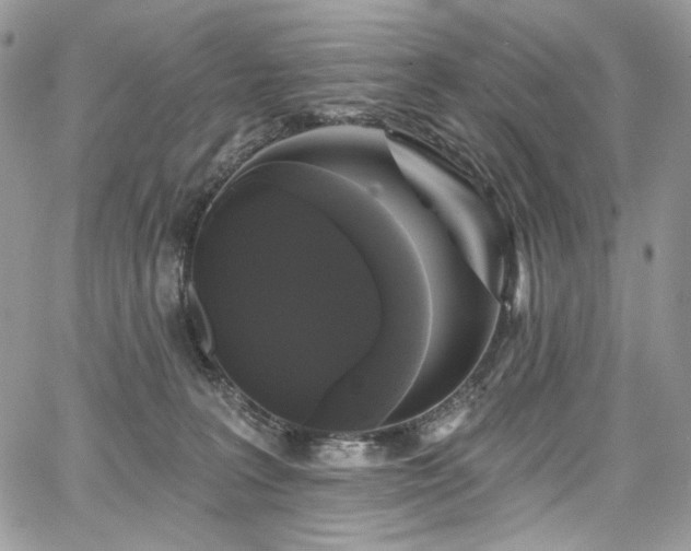 X0000068290227200604241307