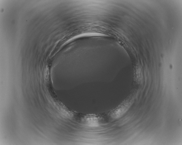 X0000068290228200604241307