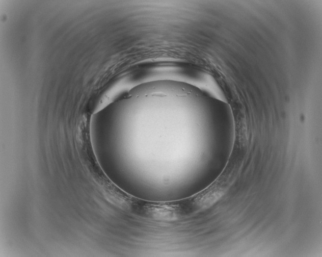 X0000068290229200604241307