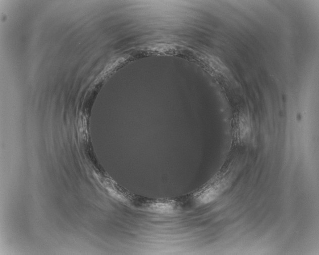 X0000068290236200604241307