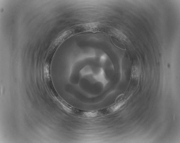 X0000068290238200604241307
