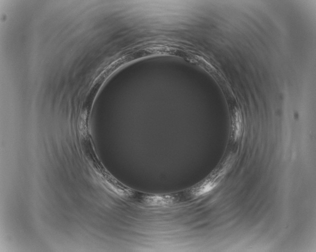 X0000068290239200604241307