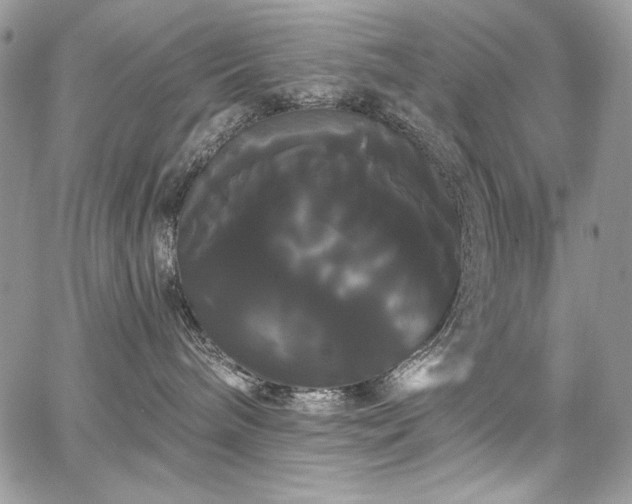 X0000068290240200604241307