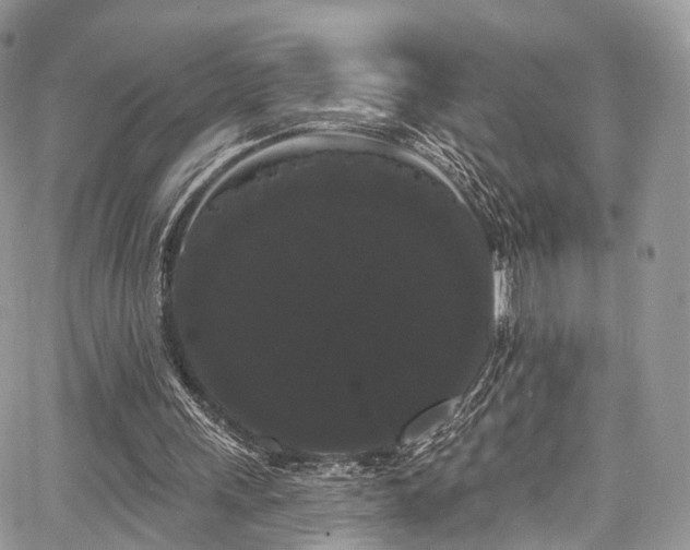 X0000068290243200604241306