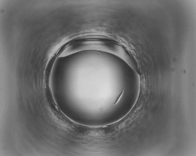 X0000068290248200604241306