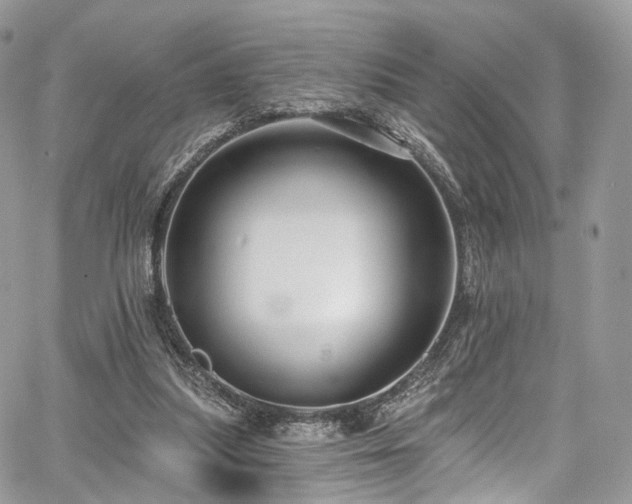X0000068290251200604241306