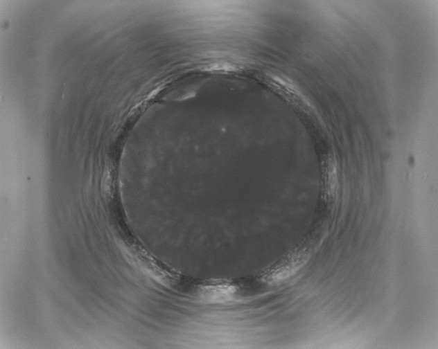 X0000068290266200604241306
