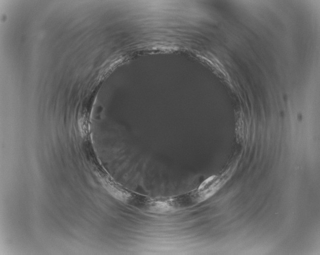 X0000068290285200604241307