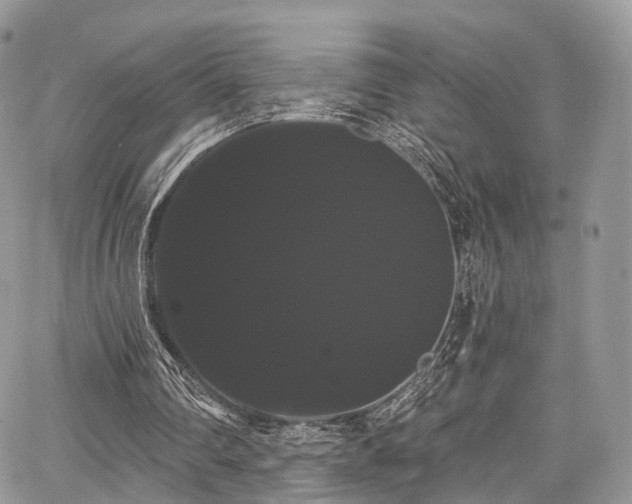 X0000068290290200604241306