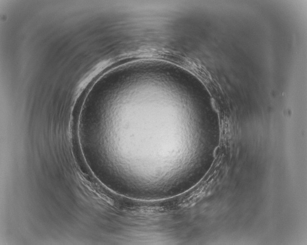 X0000068290292200604241306