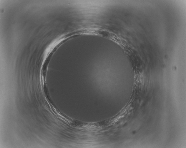X0000068290294200604241306