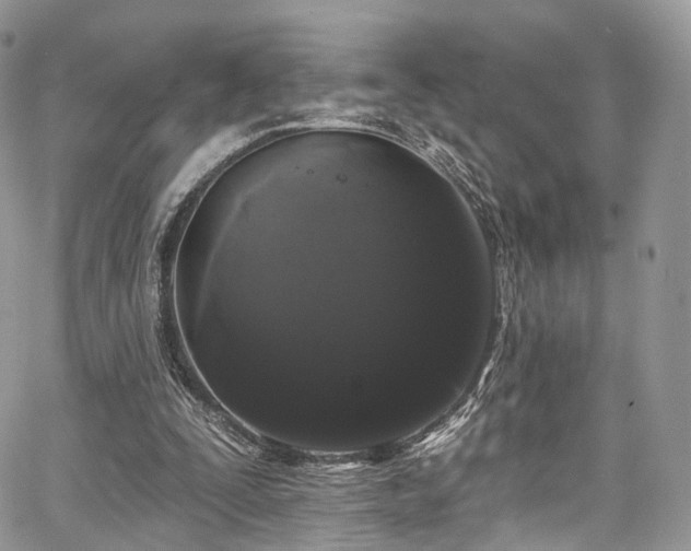 X0000068290295200604241306