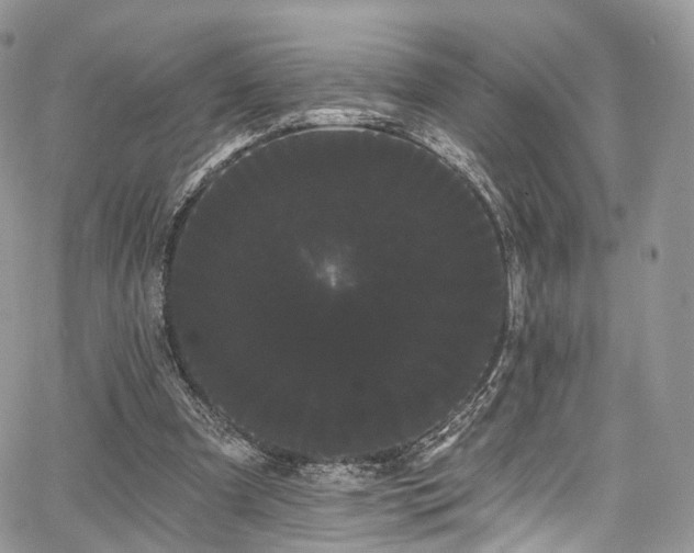 X0000068290297200604241306