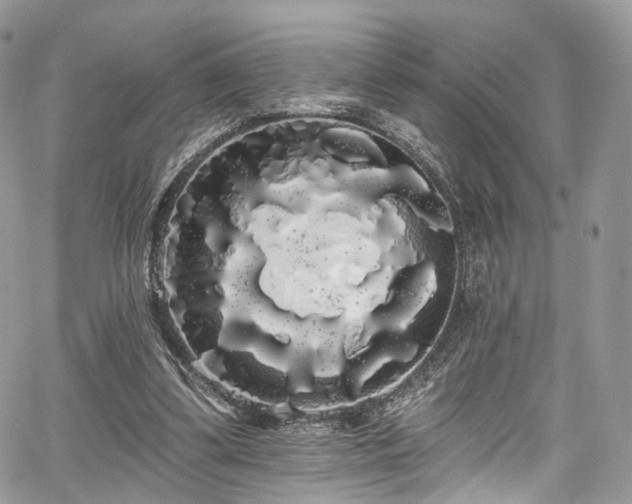 X0000068290299200604241306