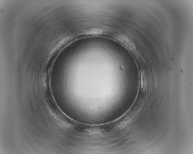 X0000068290300200604241306