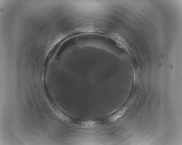 X0000068290301200604241306
