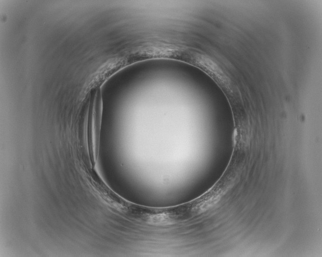 X0000068290309200604241306