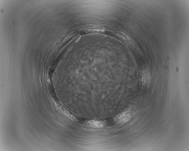 X0000068290326200604241305