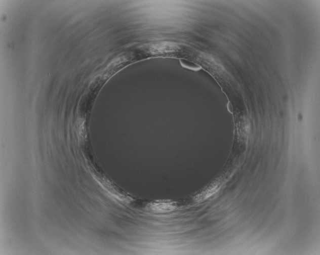 X0000068290327200604241305