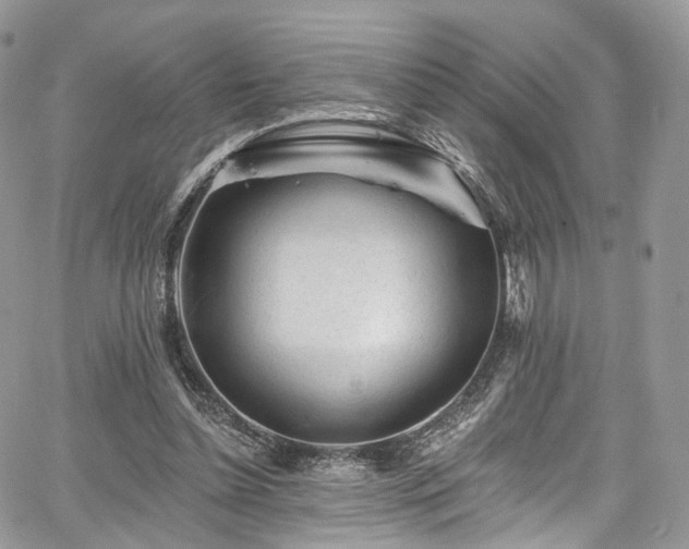 X0000068290348200604241304