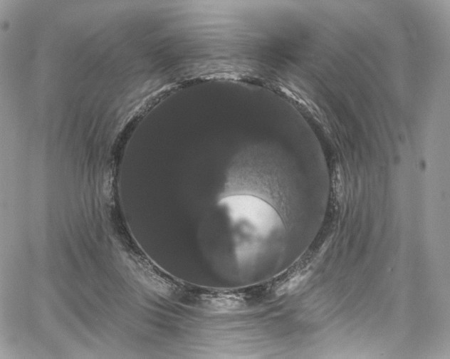X0000068290359200604241305