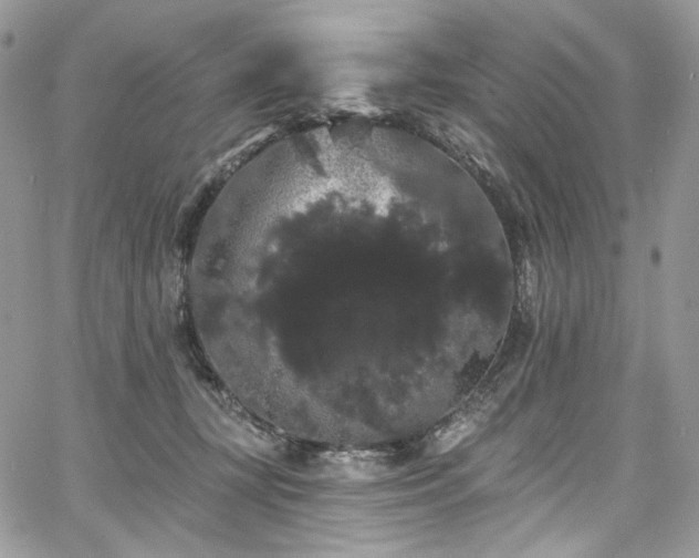 X0000068290367200604241305