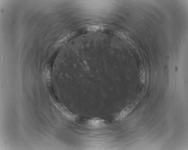 X0000068290375200604241305