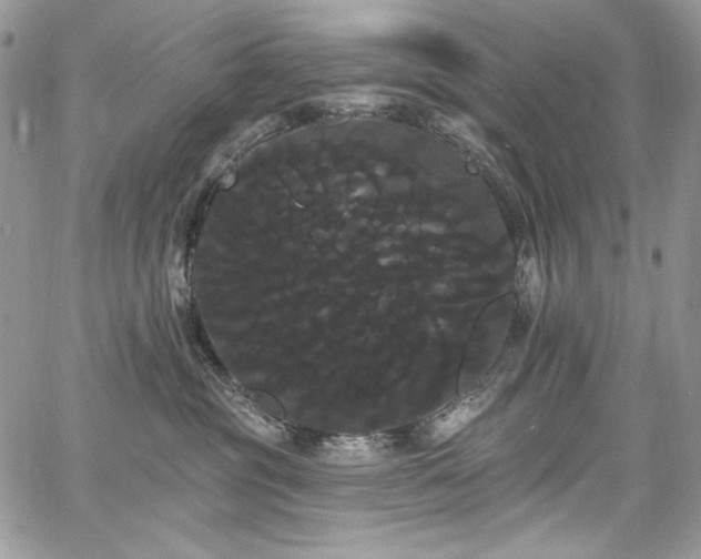 X0000068290381200604241305