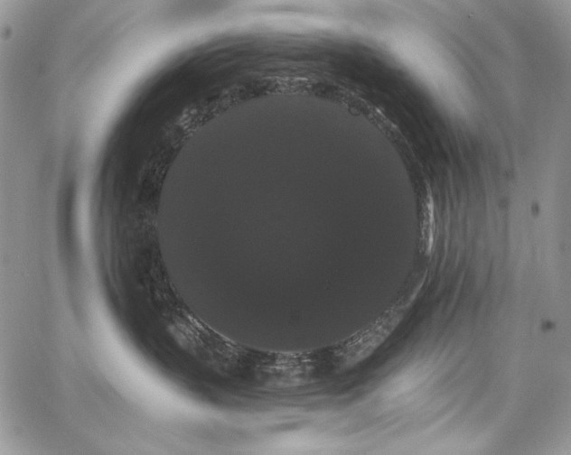 X0000068290383200604241305