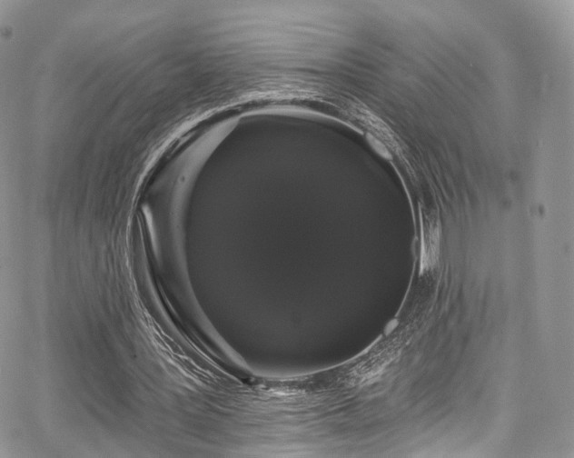 X0000068290387200604241304