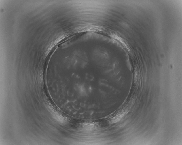 X0000068290394200604241304