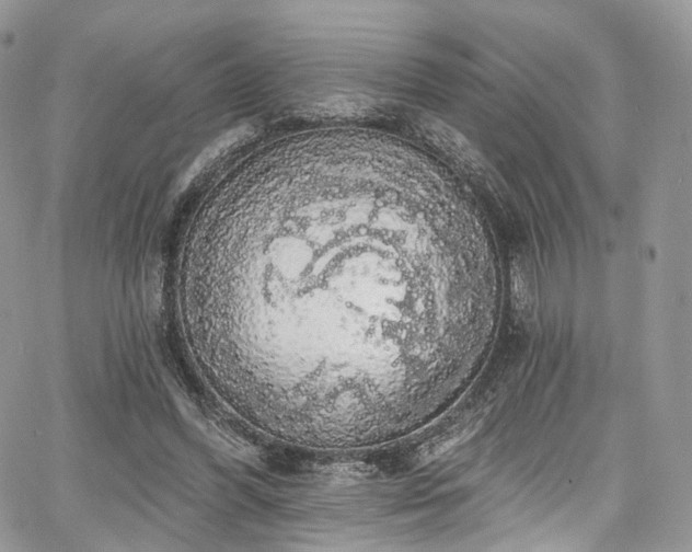 X0000068290396200604241304
