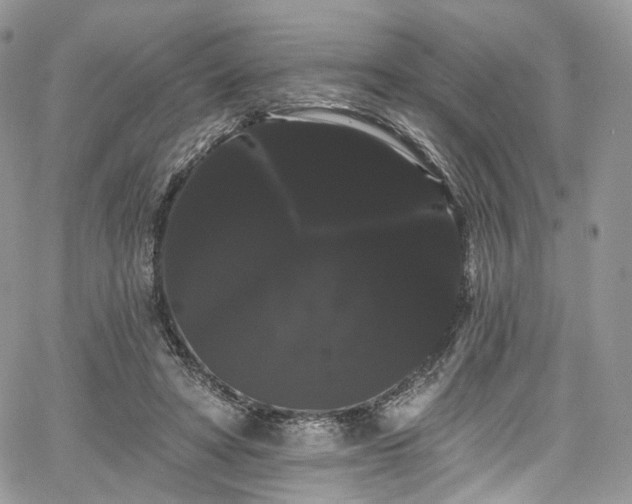 X0000068290402200604241304