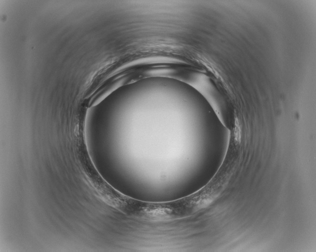 X0000068290407200604241304