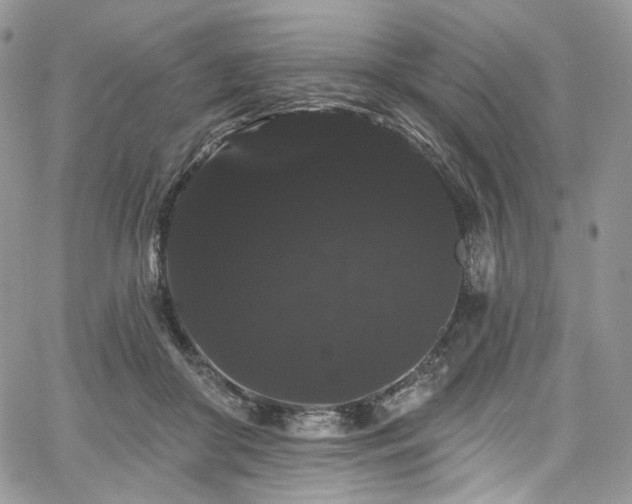 X0000068290410200604241304