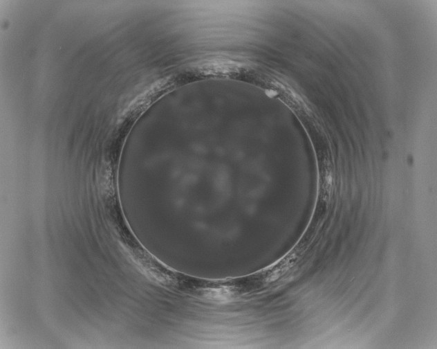 X0000068290411200604241304