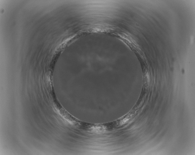 X0000068290415200604241304
