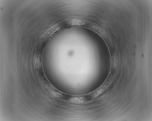X0000068290422200604241304